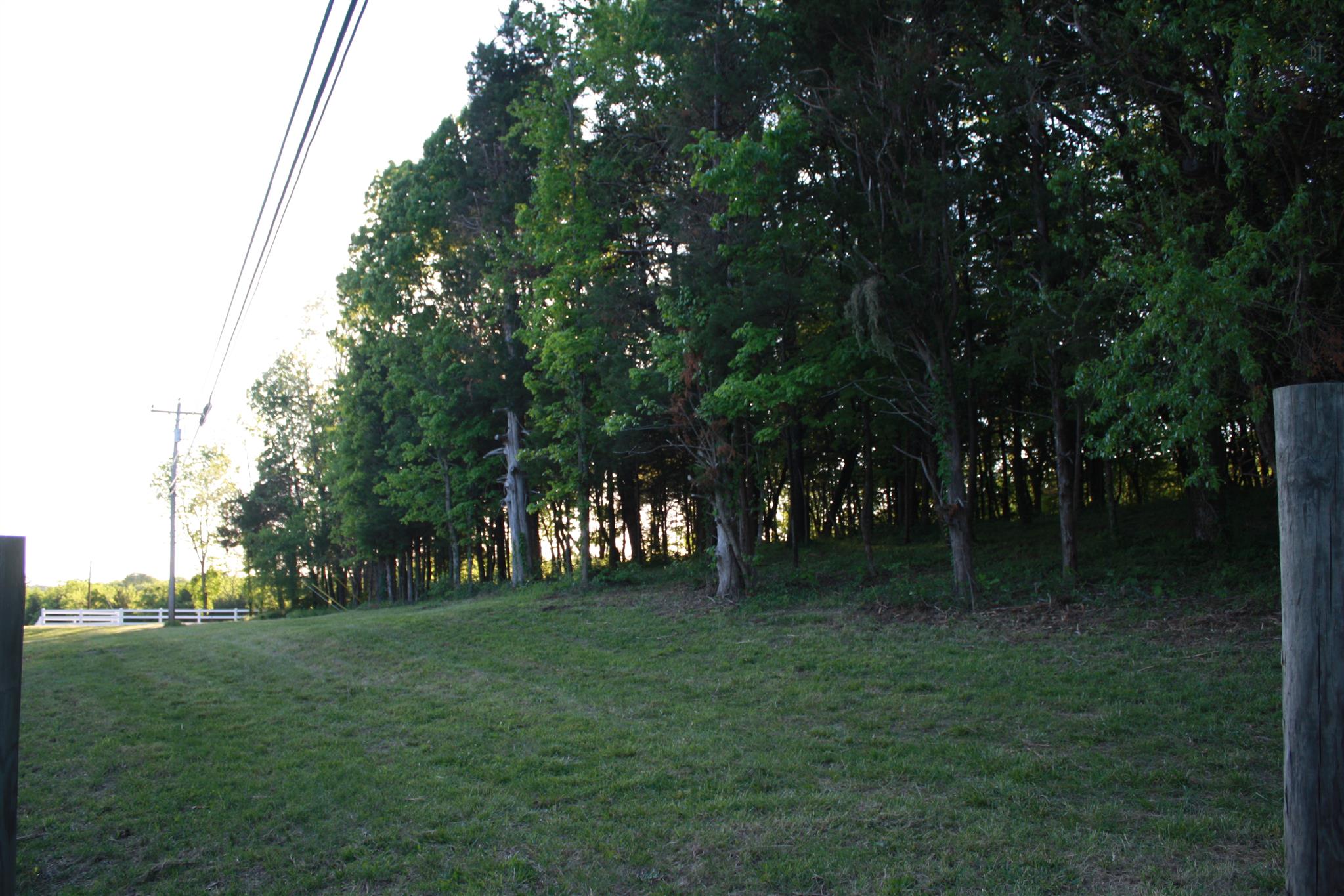 13 Holloway Road Lebanon, TN 37090 - Photo 1 of 14 a big yard with trees