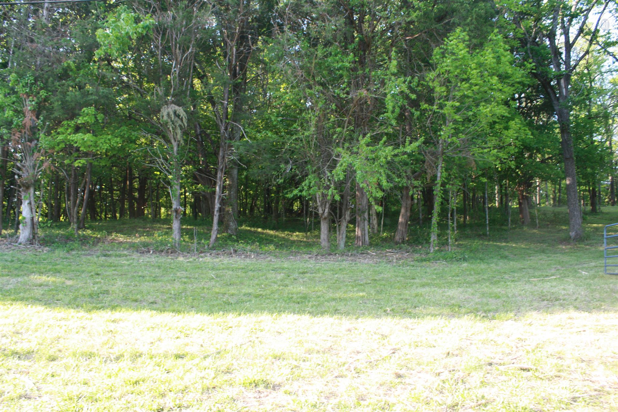 13 Holloway Road Lebanon, TN 37090 - Photo 3 of 14 a view of a trees in a yard