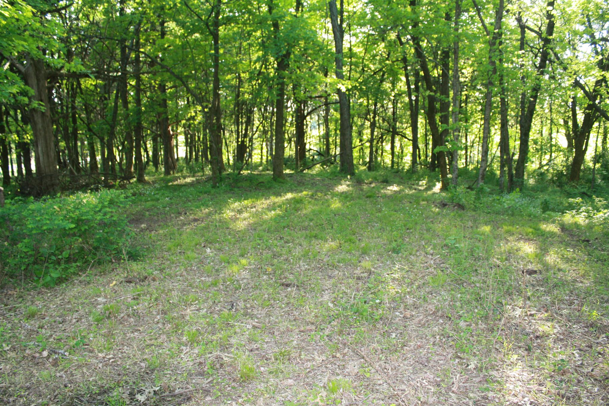 13 Holloway Road Lebanon, TN 37090 - Photo 6 of 14 a view of outdoor space and yard