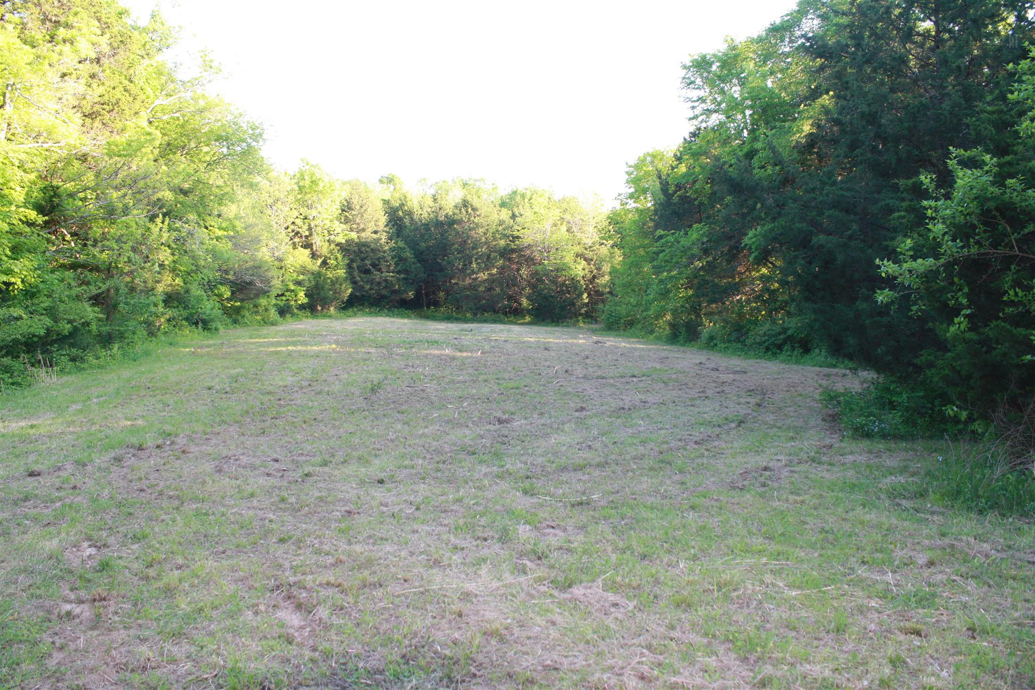 13 Holloway Road Lebanon, TN 37090 - Photo 8 of 14 a view of an outdoor space with trees