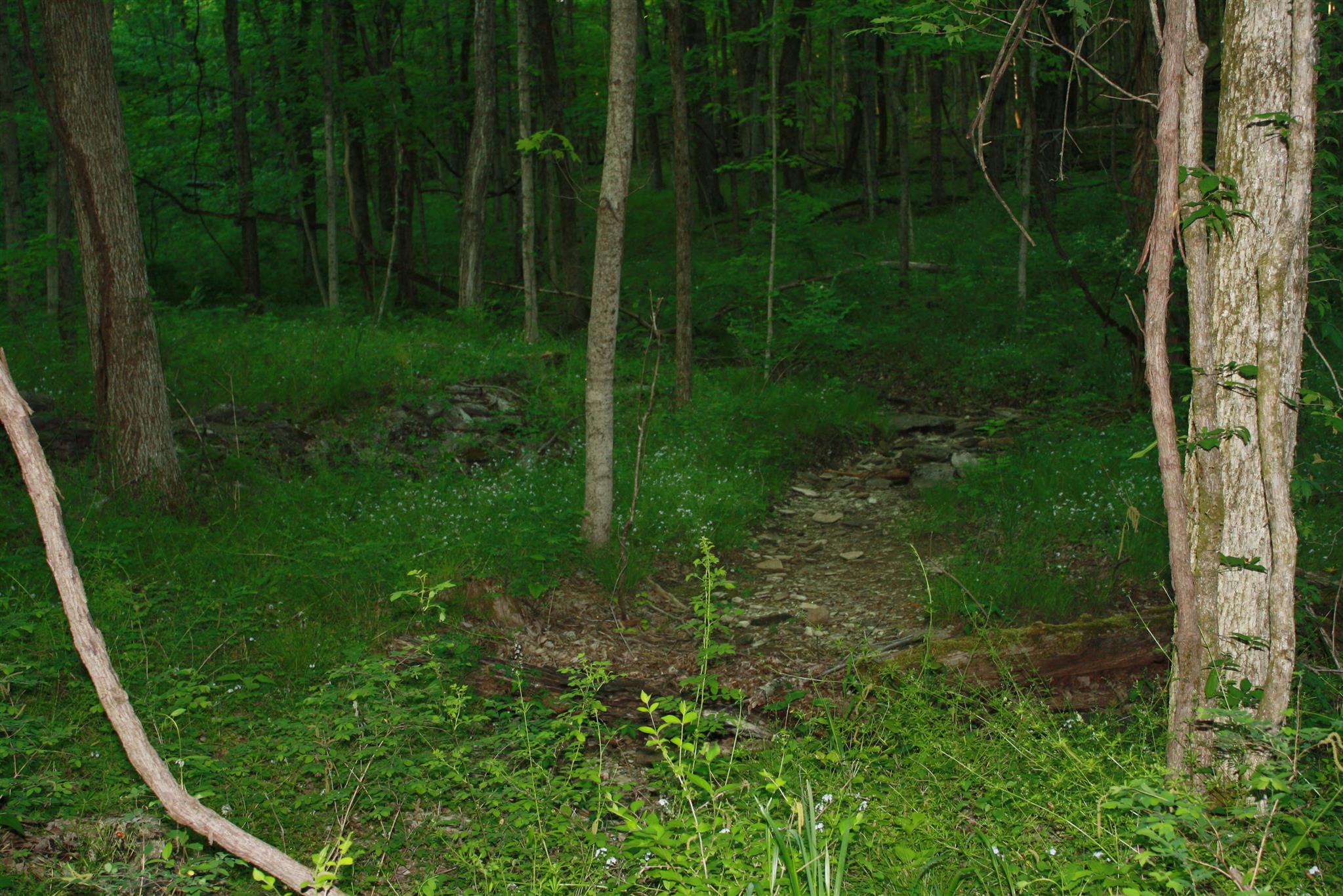 13 Holloway Road Lebanon, TN 37090 - Photo 9 of 14 a view of a back yard