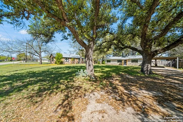 a tree in the middle of a yard
