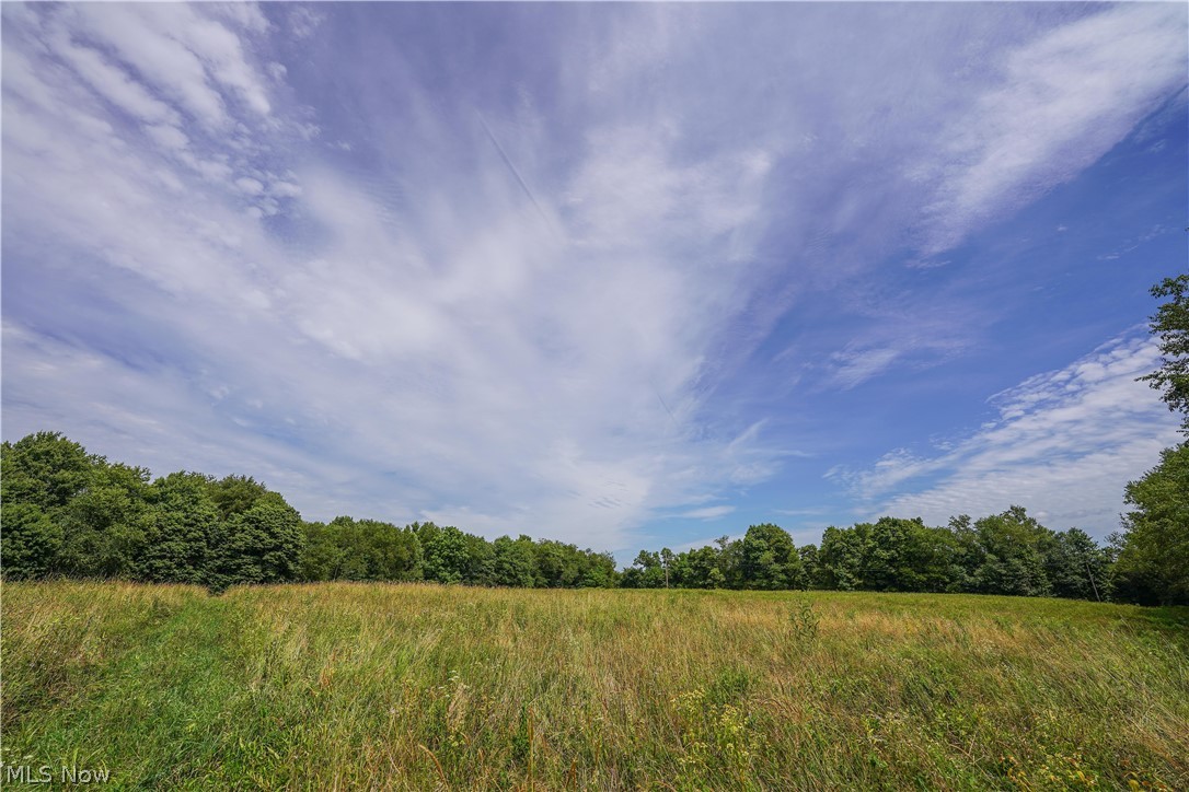 New Rumley Road Jewett, OH 43986 - Photo 16 of 23