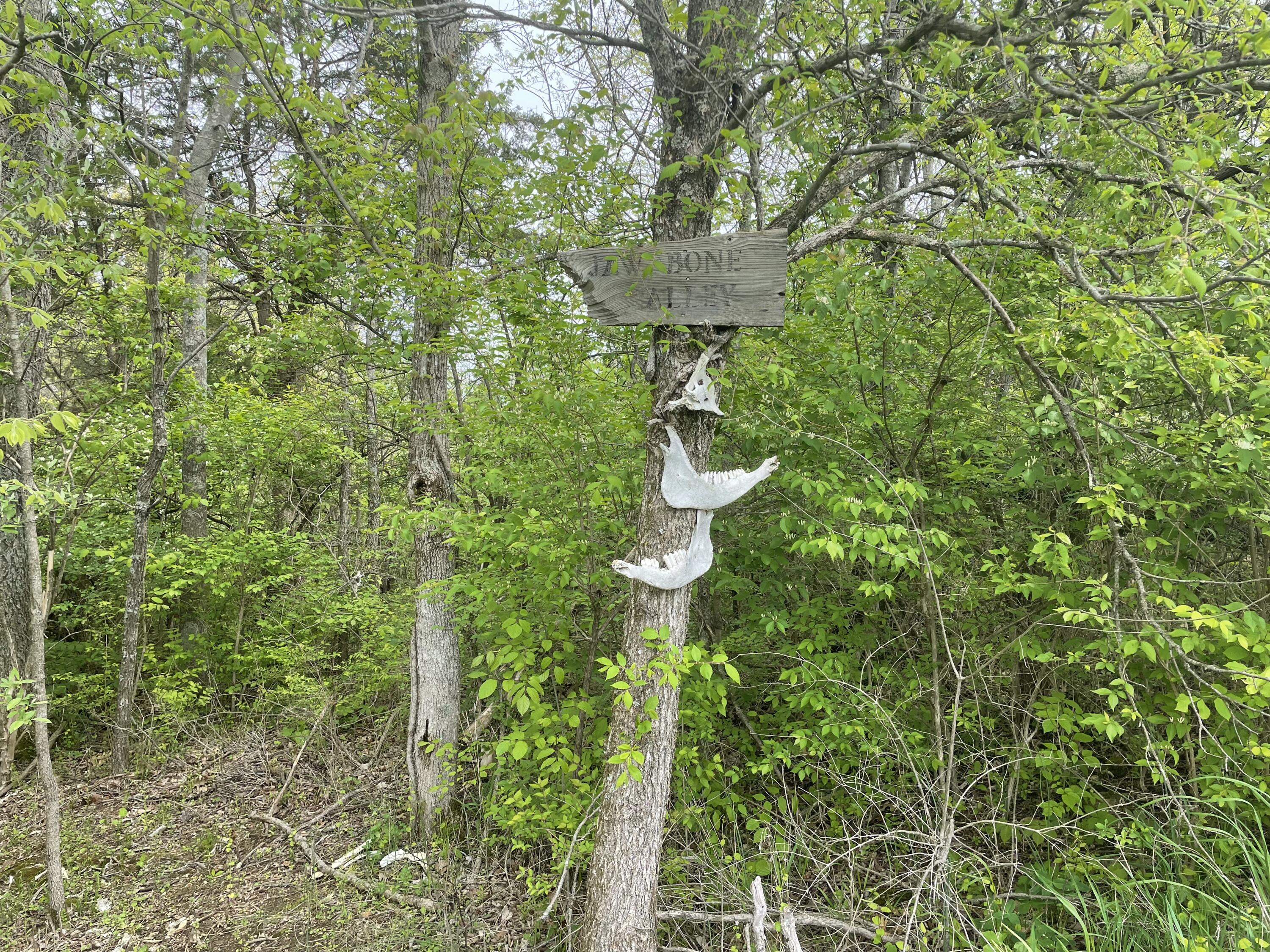 0 Perkins Ridge Road Brooksville, KY 41004 - Photo 26 of 31 Gallery Image 26