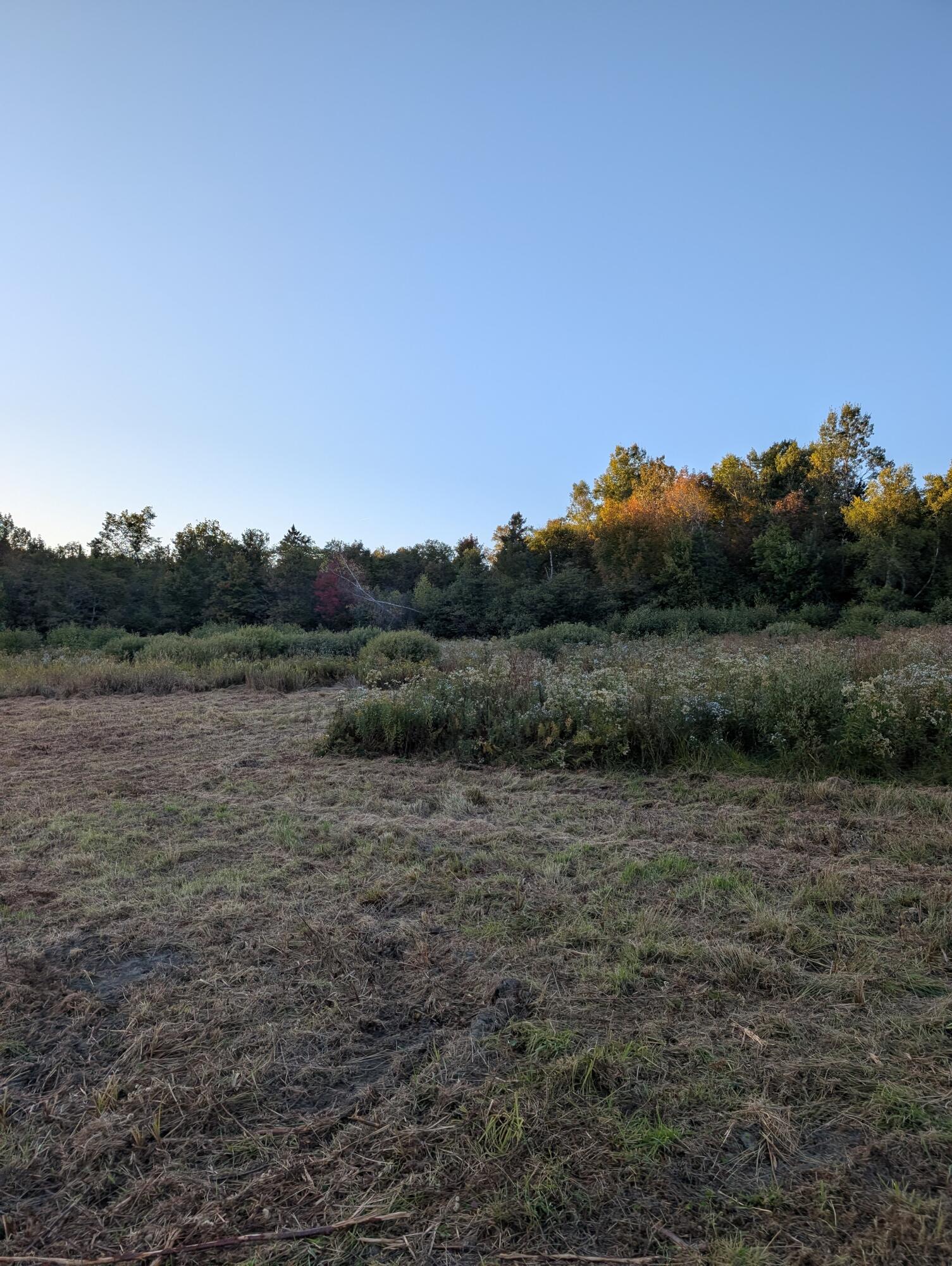 # Pond Road Abbot, ME 04406 - Photo 11 of 13 PXL_20250919_220726881