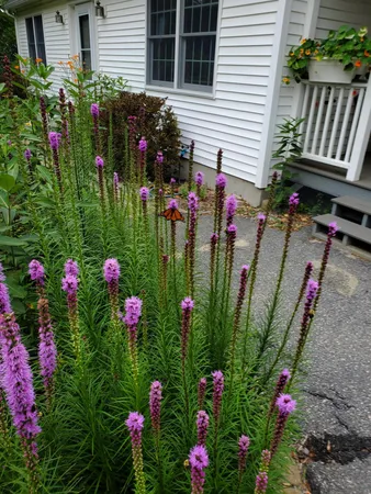 $690,000 | 56 Durham Road, Brunswick, ME 04011