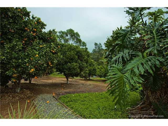 5021 Sleeping Indian Road Fallbrook, CA 92028 - Photo 14 of 16 Gallery Image 14