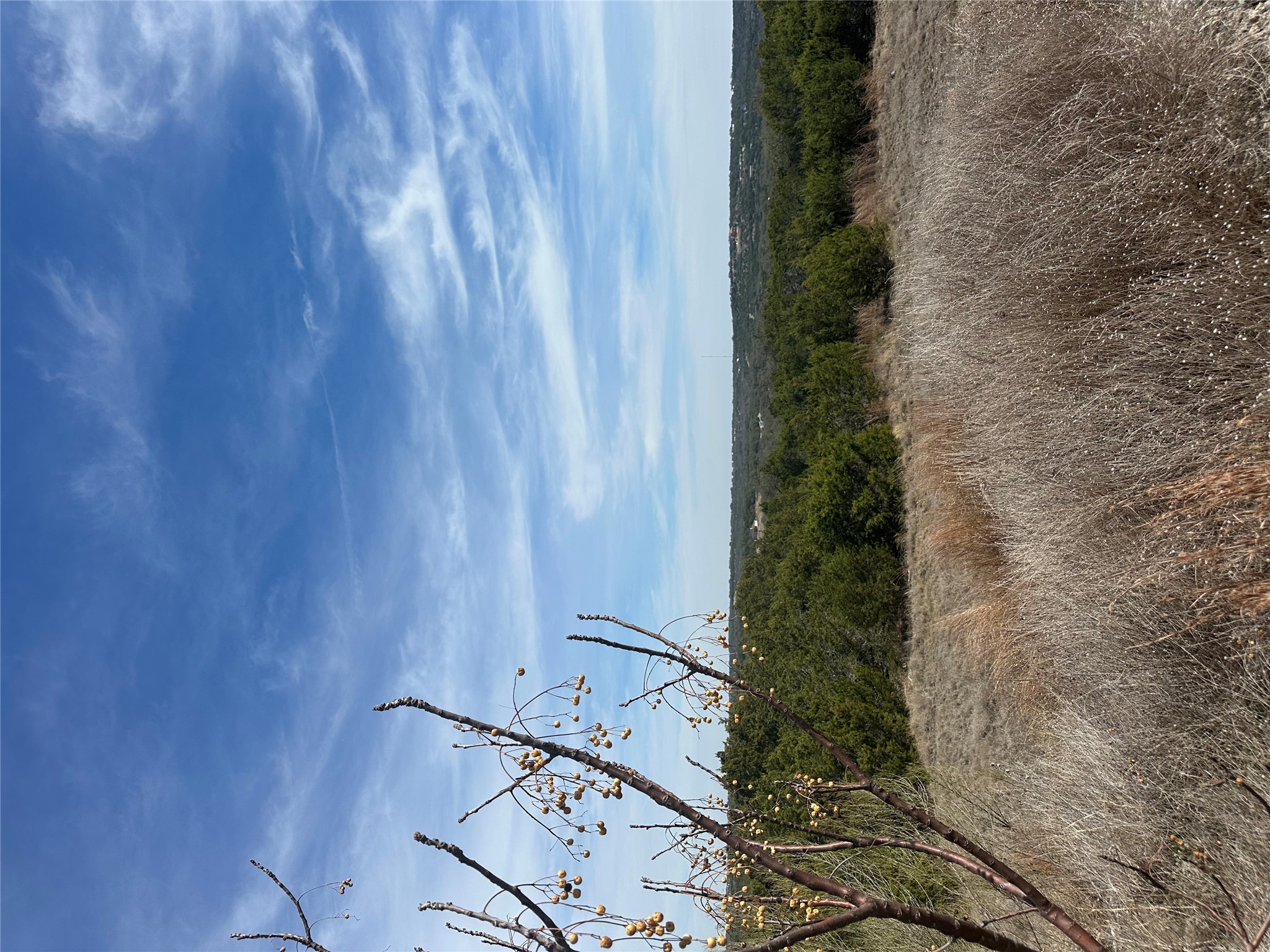 14924 Faubion Trail, Unit 4 Leander, TX 78641 - Photo 3 of 5 a view of a dry yard with wooden fence