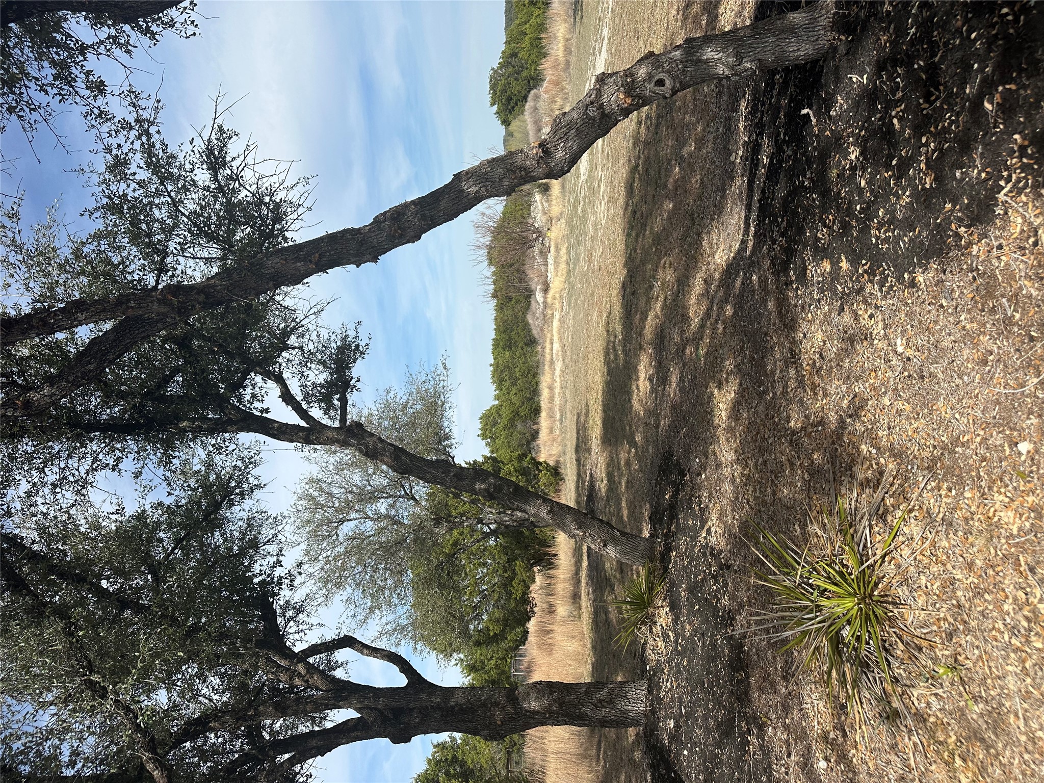 14924 Faubion Trail, Unit 4 Leander, TX 78641 - Photo 4 of 5 a view of an outdoor space with seating