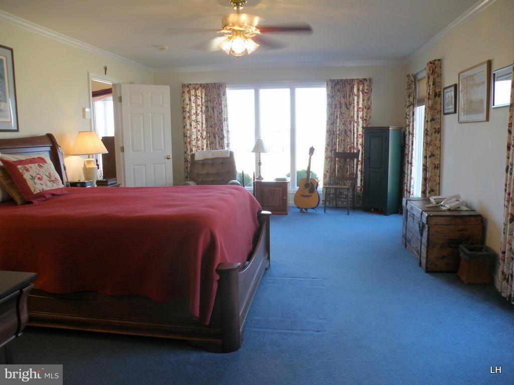 510 Pear Tree Point Road Chestertown, MD 21620 - Photo 22 of 30 Bath (Master)