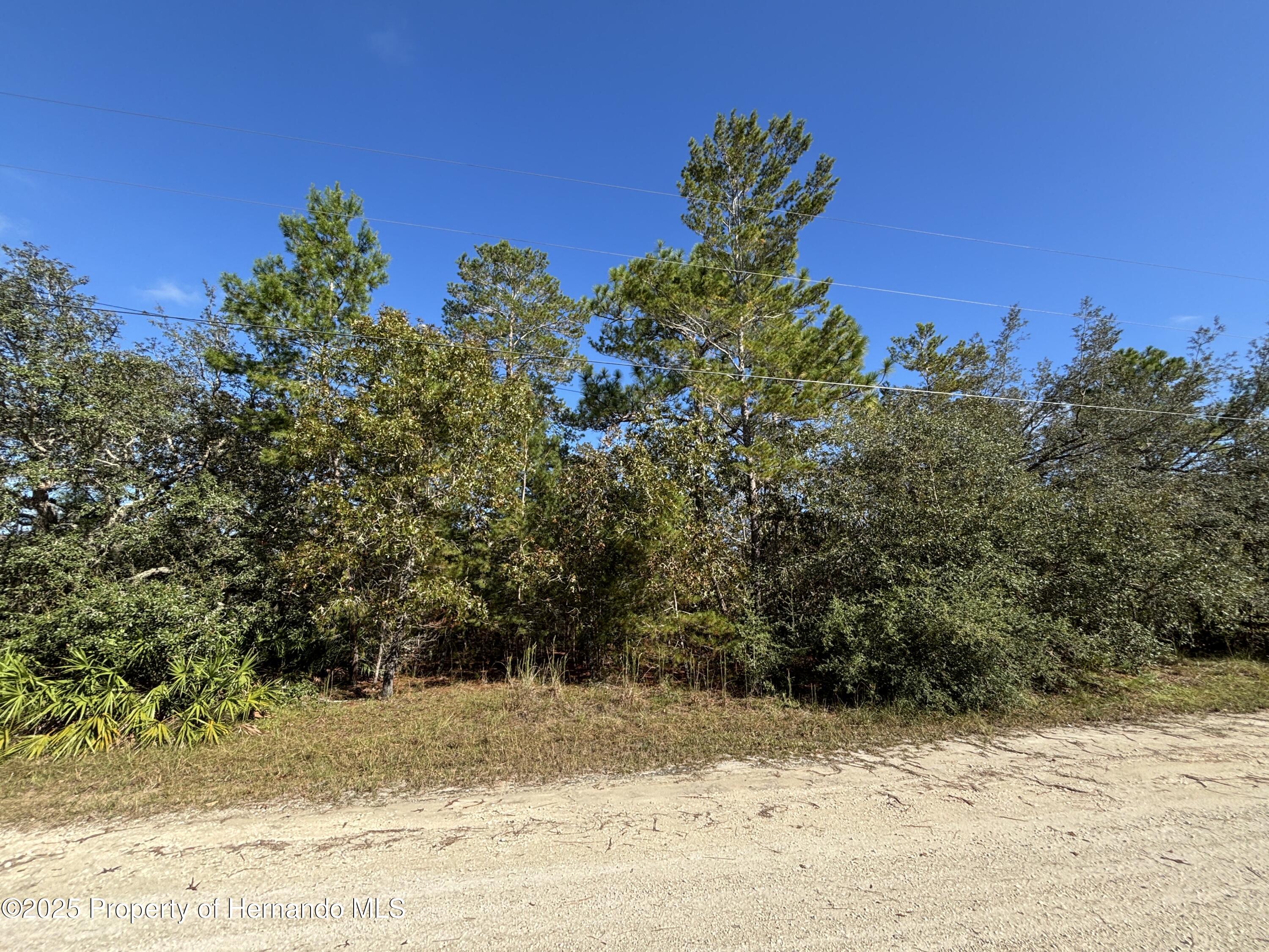 Lot 2 Rapidan Road Brooksville, FL 34614 - Photo 2 of 6 Gallery Image 2