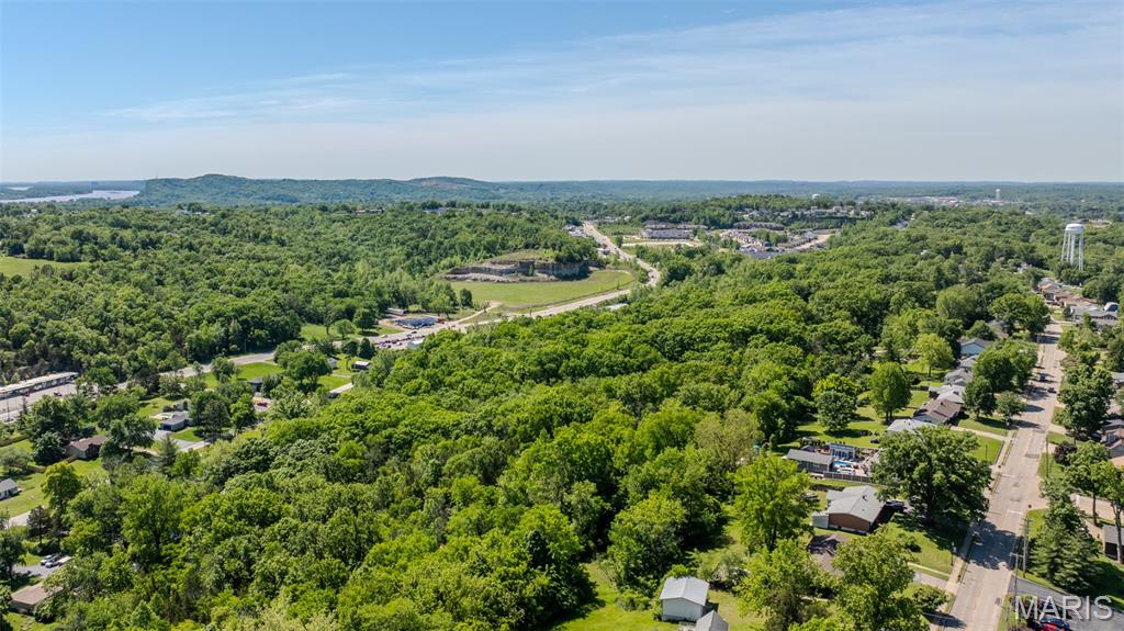 1393 Spring Drive Herculaneum, MO 63048 - Photo 1 of 31