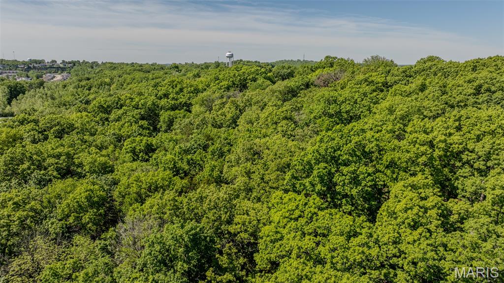 1393 Spring Drive Herculaneum, MO 63048 - Photo 19 of 31