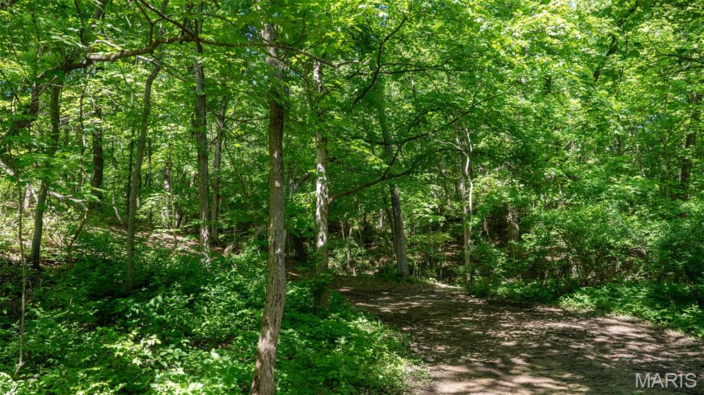 1393 Spring Drive Herculaneum, MO 63048 - Photo 20 of 31