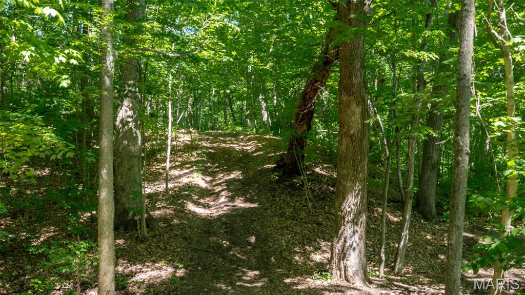 1393 Spring Drive Herculaneum, MO 63048 - Photo 21 of 31