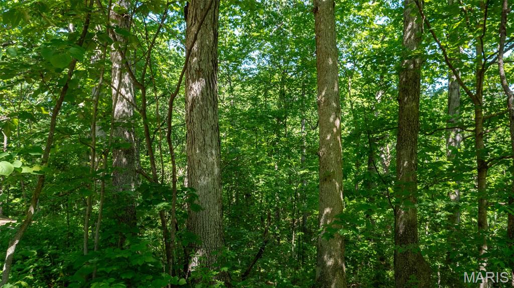 1393 Spring Drive Herculaneum, MO 63048 - Photo 23 of 31
