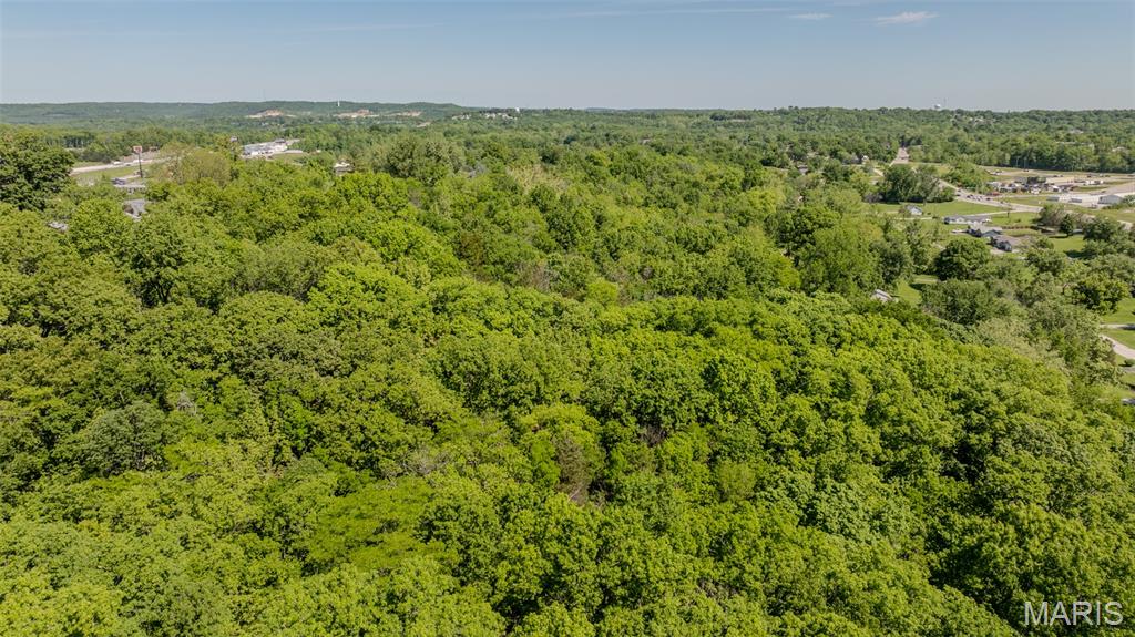 1393 Spring Drive Herculaneum, MO 63048 - Photo 26 of 31