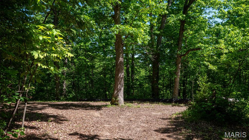 1393 Spring Drive Herculaneum, MO 63048 - Photo 28 of 31