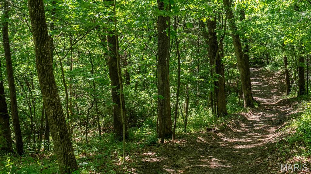 1393 Spring Drive Herculaneum, MO 63048 - Photo 29 of 31