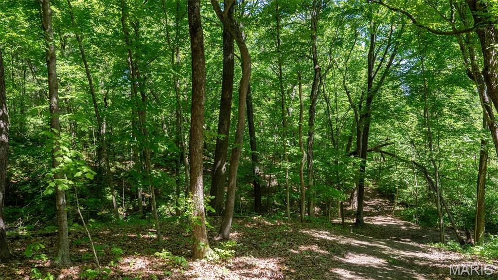 1393 Spring Drive Herculaneum, MO 63048 - Photo 4 of 31