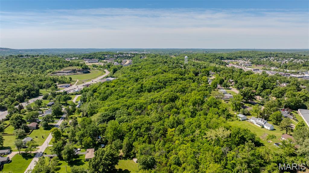 1393 Spring Drive Herculaneum, MO 63048 - Photo 5 of 31