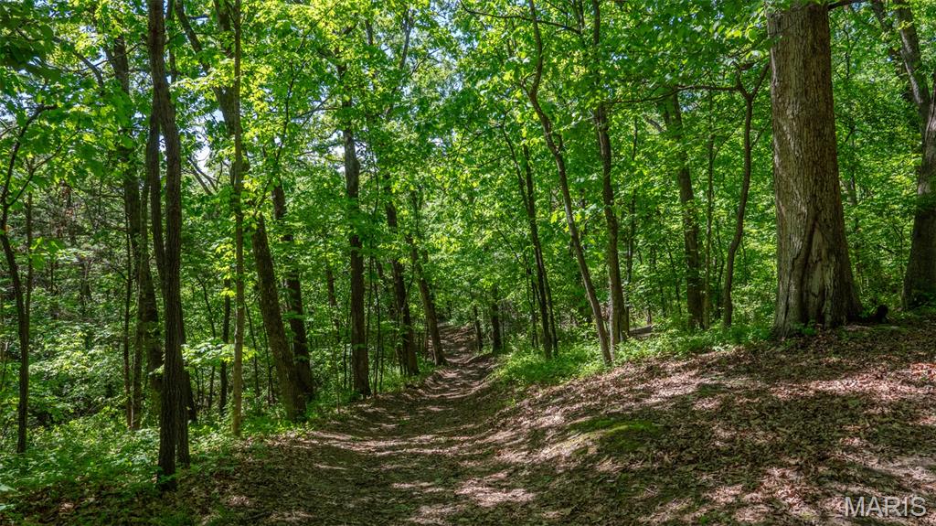 1393 Spring Drive Herculaneum, MO 63048 - Photo 6 of 31