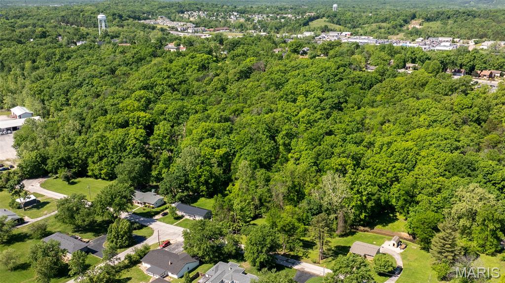 1393 Spring Drive Herculaneum, MO 63048 - Photo 7 of 31