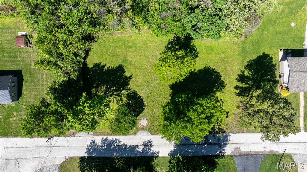 1393 Spring Drive Herculaneum, MO 63048 - Photo 10 of 31
