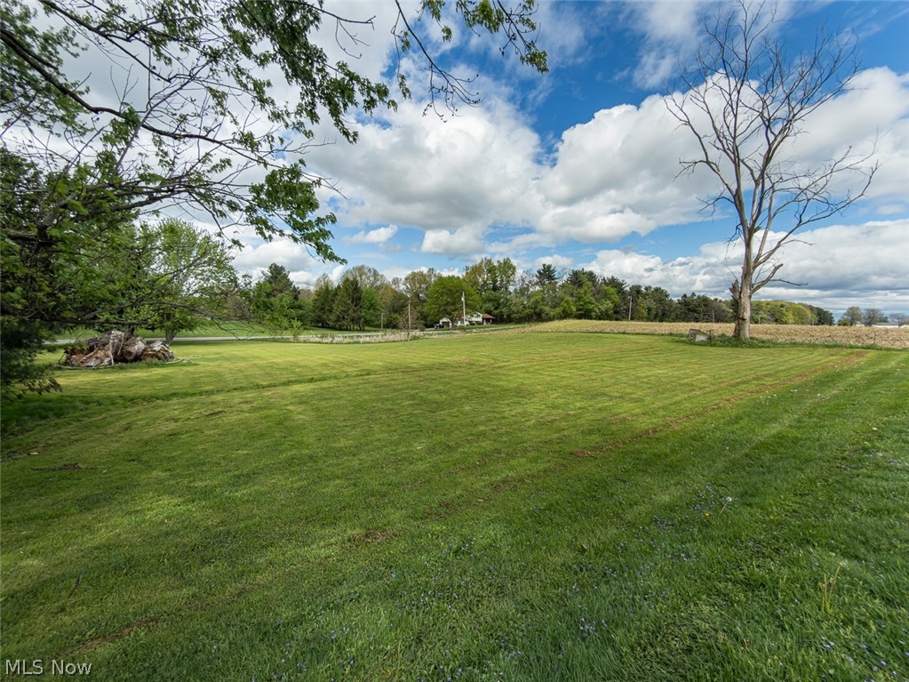 13429 West Calla Road Salem, OH 44460 - Photo 24 of 27 Expansive grassy area with distant treeline and scattered deciduous trees