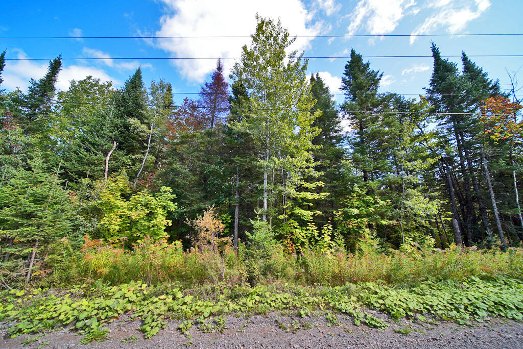 390 Foster Road Littleton, ME 04730 - Photo 53 of 61 maine-land-road-frontage-1