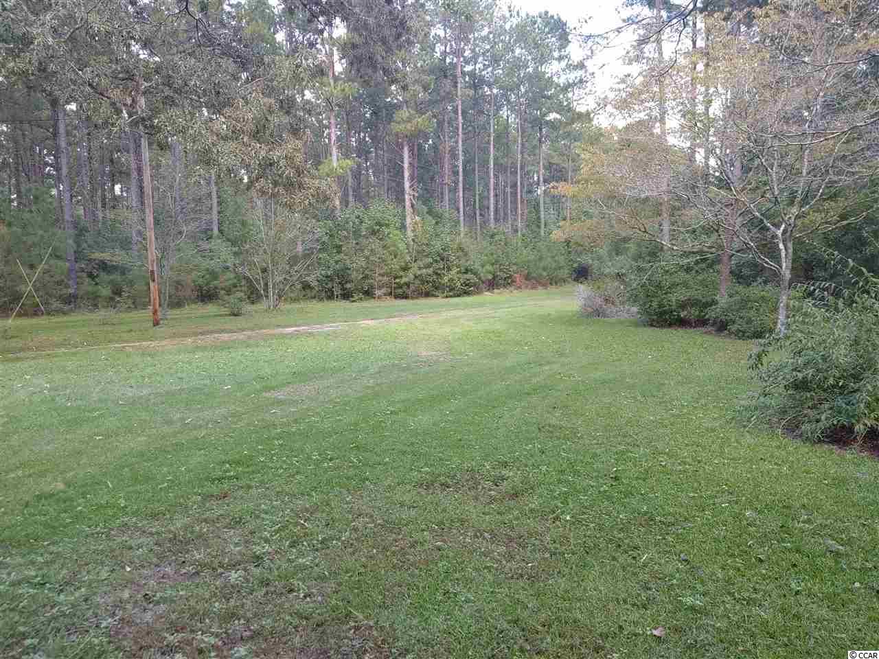 1037 Jumpin Run Road Andrews, SC 29510 - Photo 5 of 5