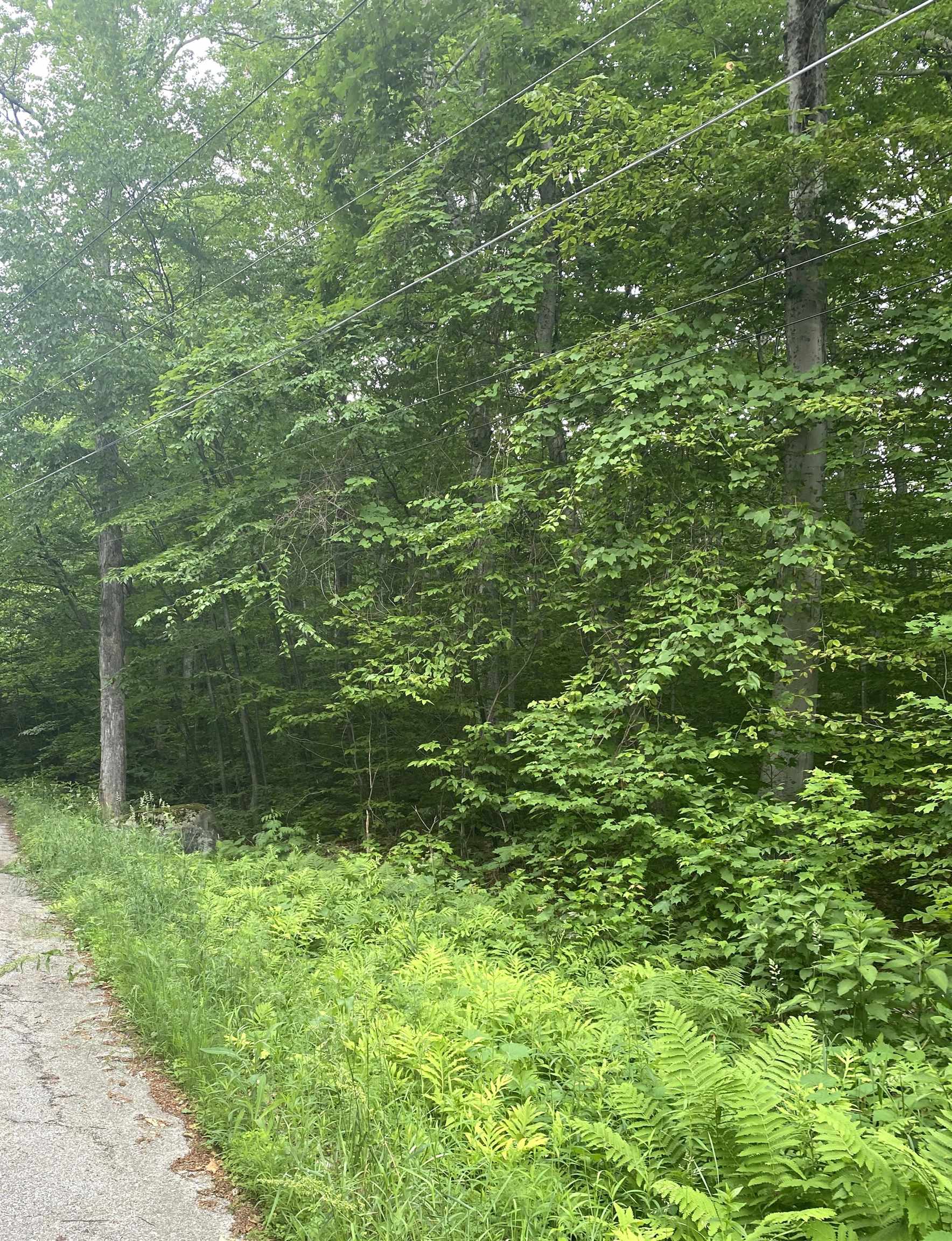 20 Forest Ridge Drive, Unit 14 Middlebury, VT 05753 - Photo 6 of 9