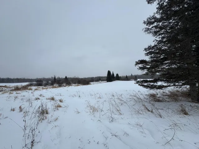 $475,000 | 24193 Nebish Road Northeast, Blackduck, MN 56630