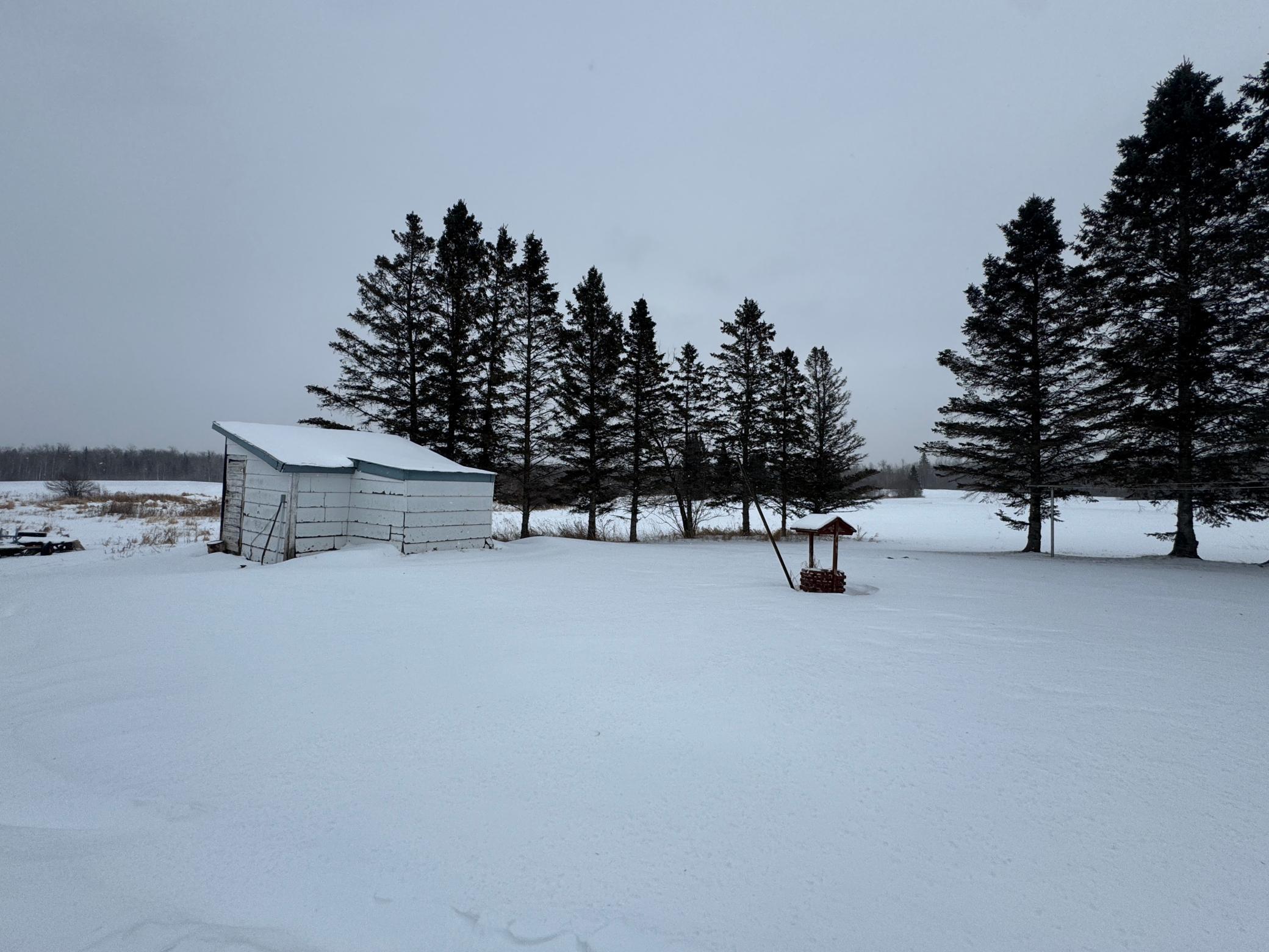 24193 Nebish Road Northeast Blackduck, MN 56630 - Photo 9 of 31