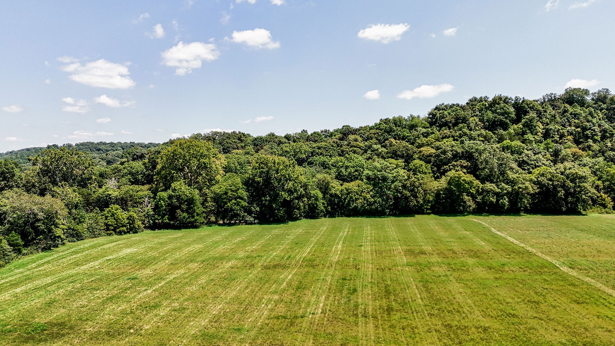 5178 Old Harding Road Franklin, TN 37064 - Photo 68 of 70