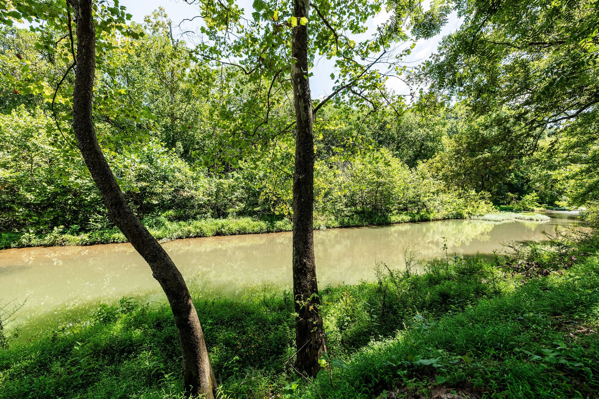 5178 Old Harding Road Franklin, TN 37064 - Photo 69 of 70