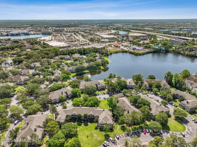 a view of a park with large trees and plants