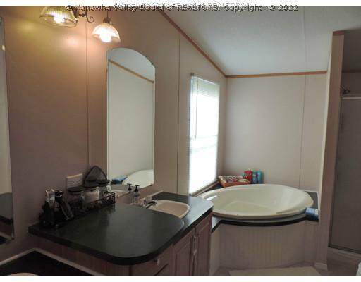 700 Conley Branch Road Chapmanville, WV 25508 - Photo 8 of 16 Master Bath/Spa.