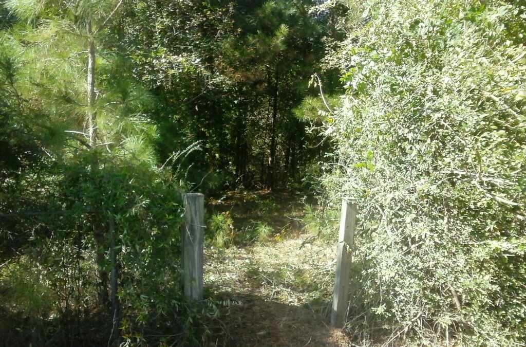 12626 Raleigh Road Benson, NC 27504 - Photo 19 of 19 Photo 19