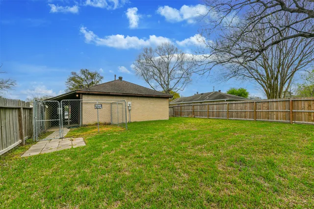 a view of a backyard with a large tree