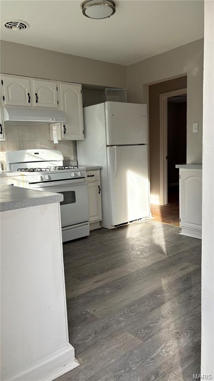 932 Thatcher Avenue St. Louis, MO 63135 - Photo 4 of 12