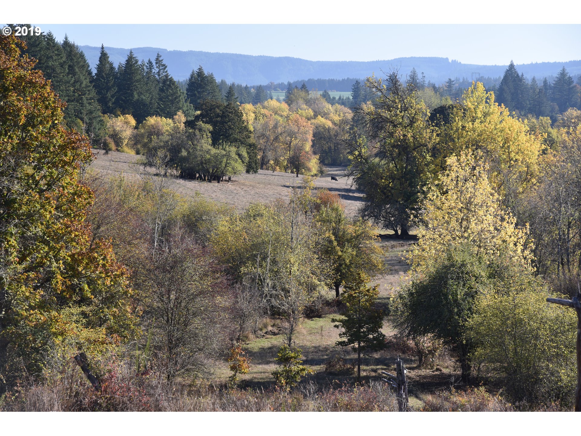 Jordan Road Scio, OR 97374 - Photo 11 of 22 Gallery Image 11