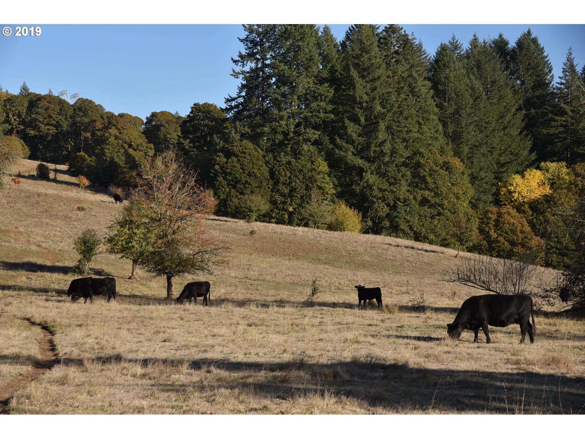Jordan Road Scio, OR 97374 - Photo 14 of 22 Gallery Image 14