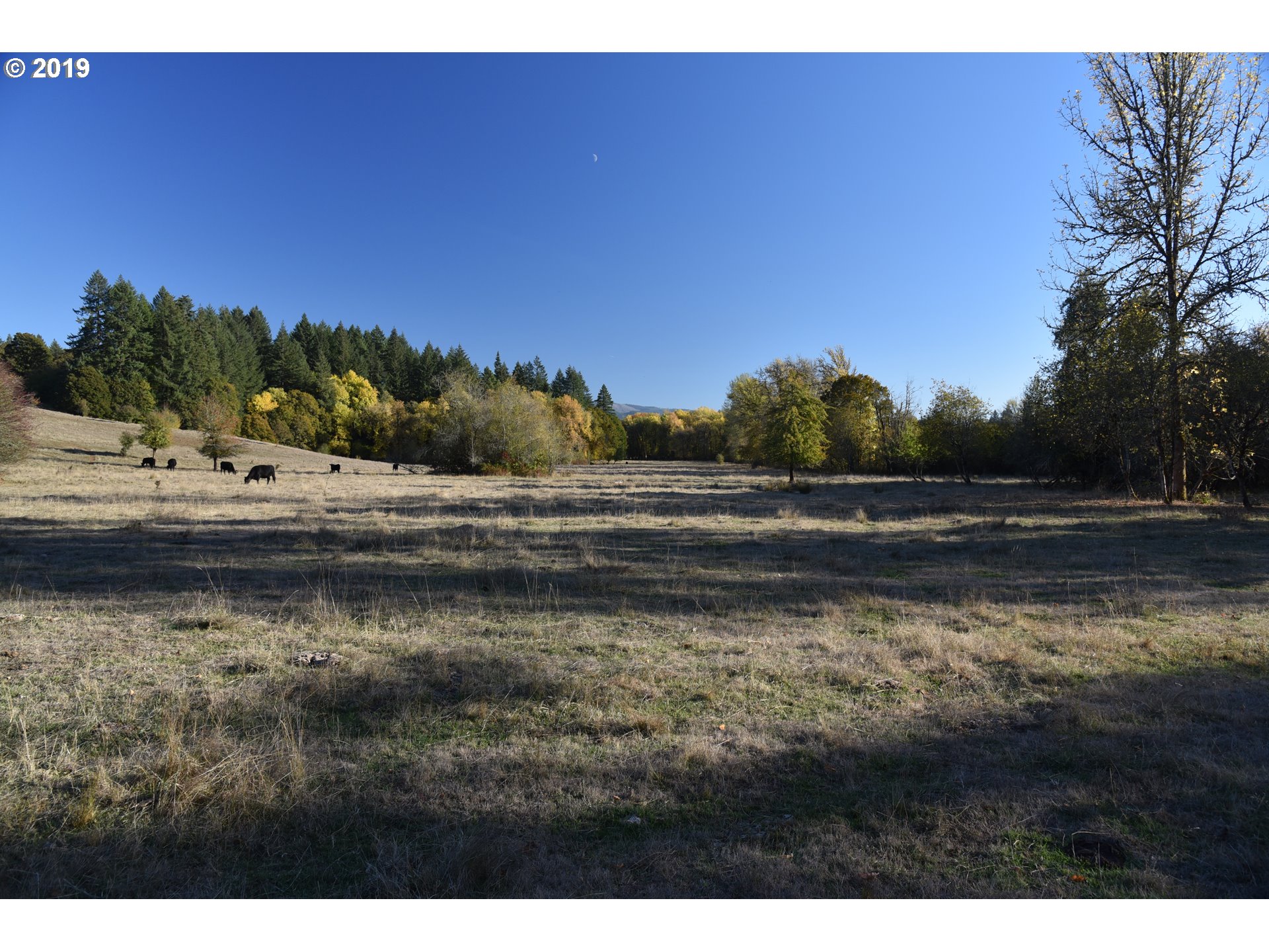 Jordan Road Scio, OR 97374 - Photo 16 of 22 Gallery Image 16