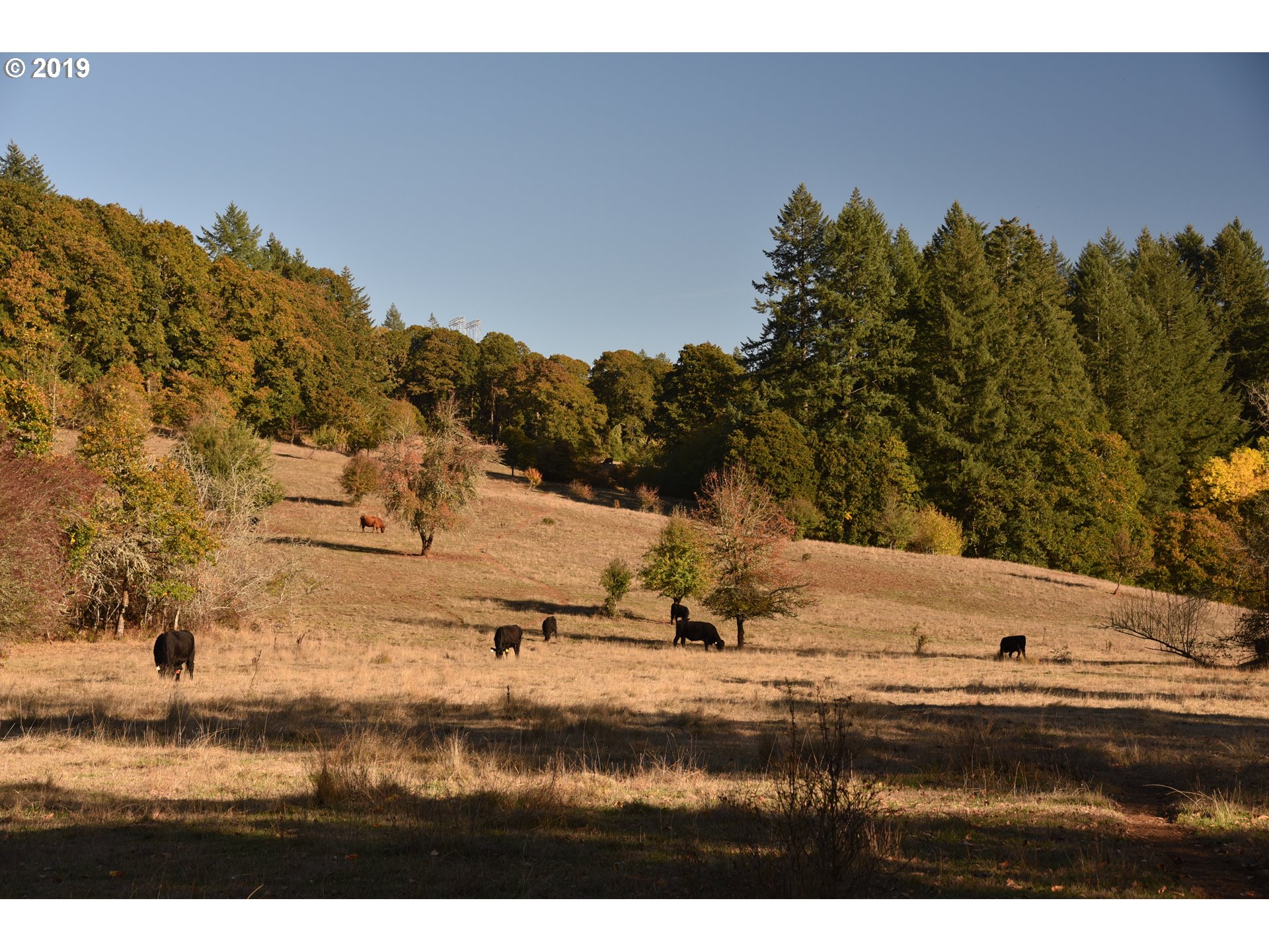 Jordan Road Scio, OR 97374 - Photo 17 of 22 Gallery Image 17