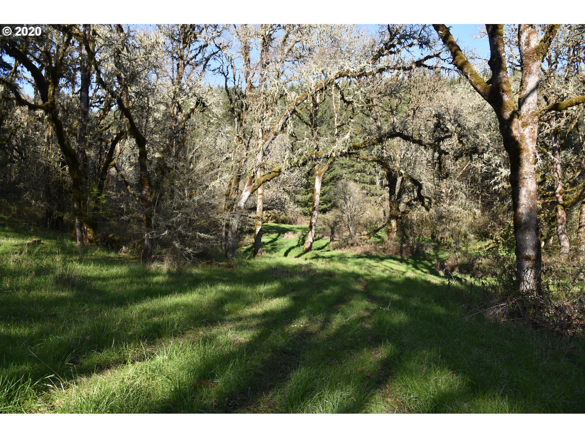 Jordan Road Scio, OR 97374 - Photo 18 of 22 Gallery Image 18