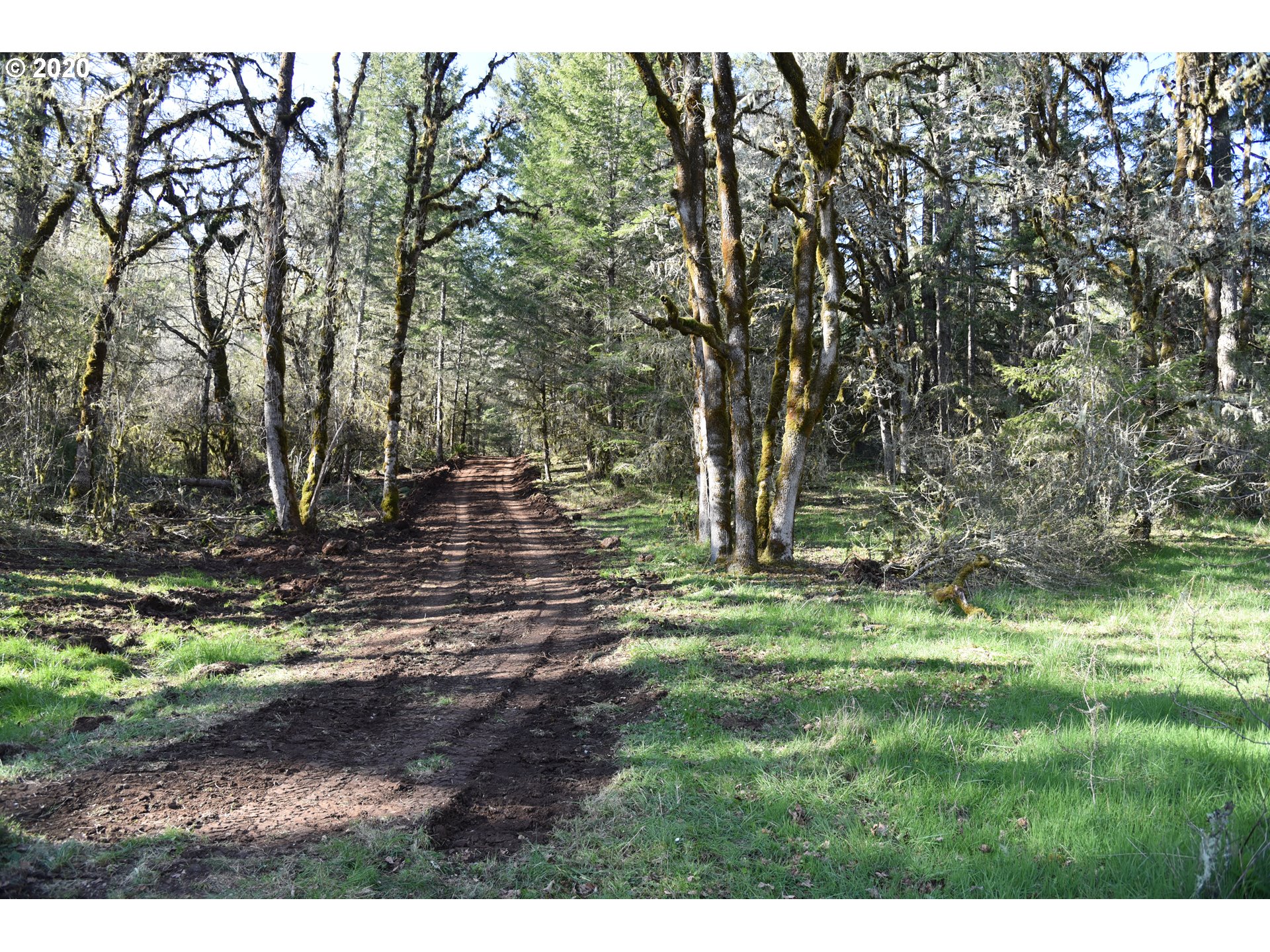 Jordan Road Scio, OR 97374 - Photo 19 of 22 Gallery Image 19