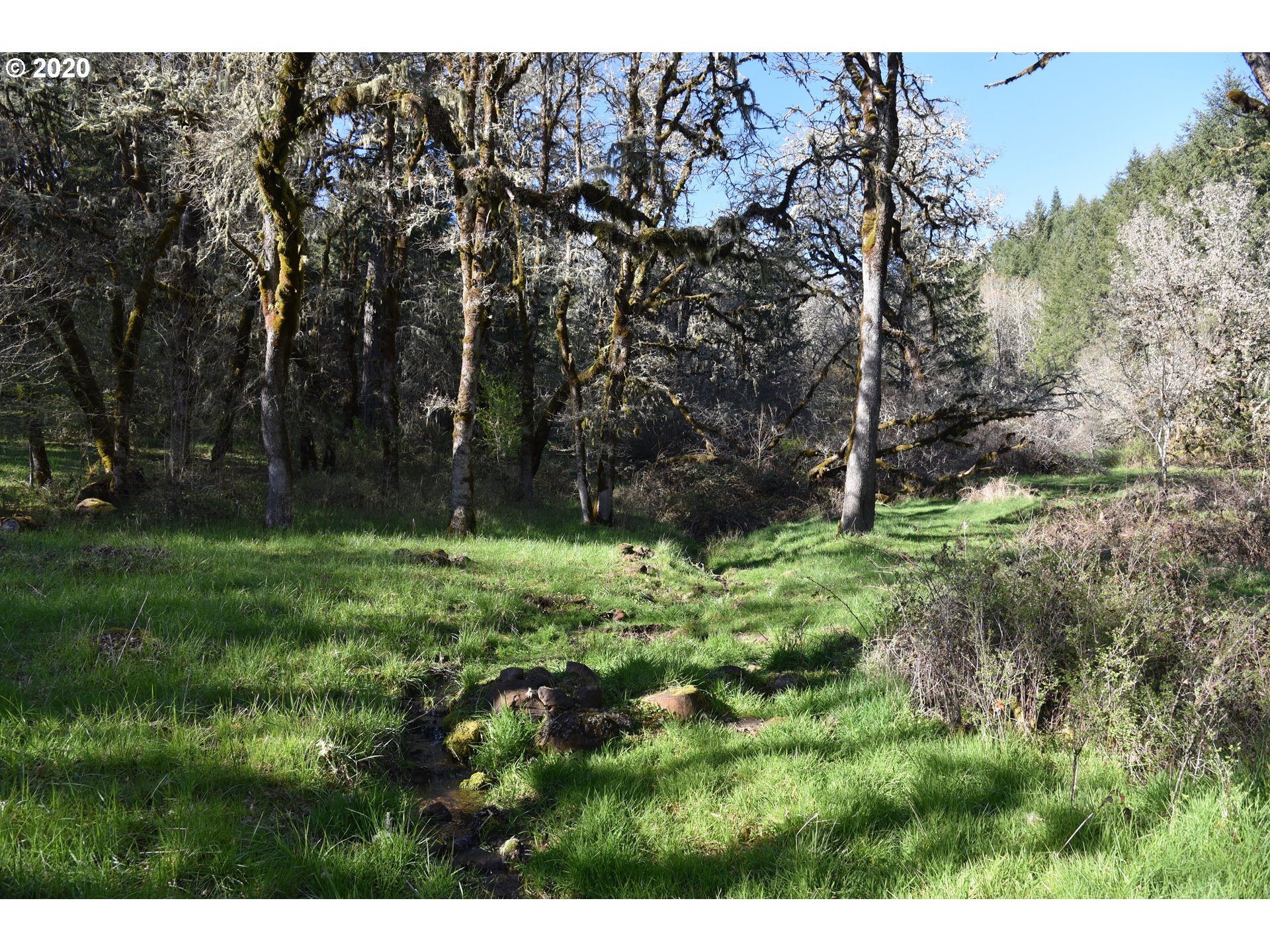 Jordan Road Scio, OR 97374 - Photo 22 of 22 Gallery Image 22