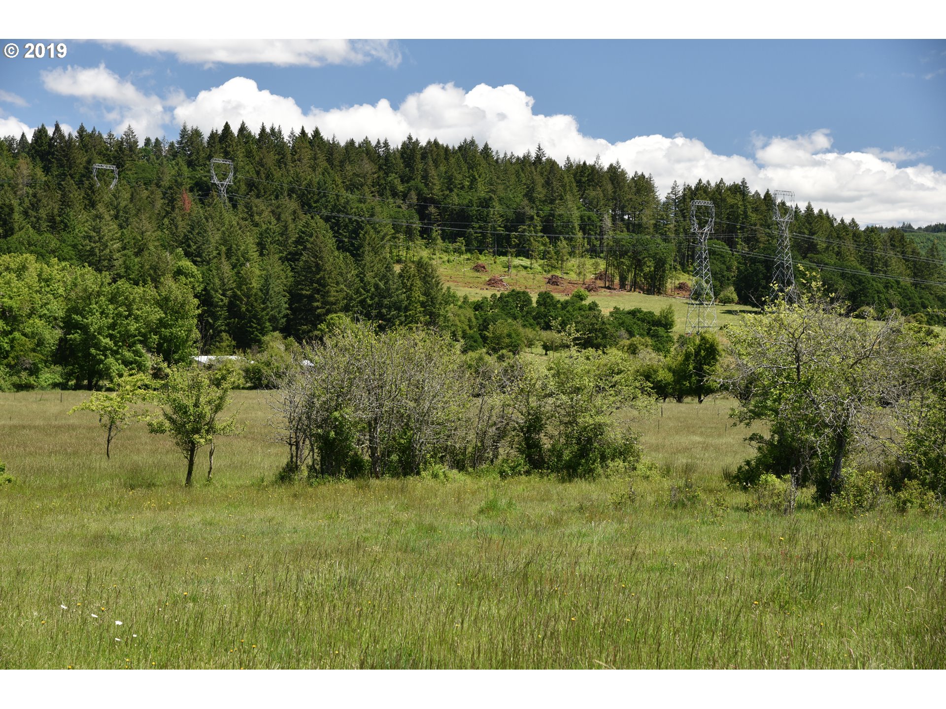 Jordan Road Scio, OR 97374 - Photo 4 of 22 Gallery Image 4
