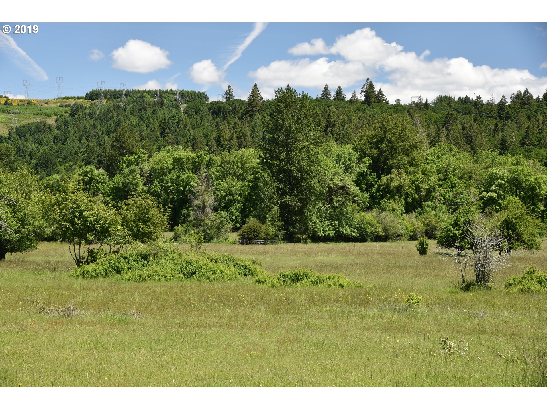 Jordan Road Scio, OR 97374 - Photo 5 of 22 Gallery Image 5